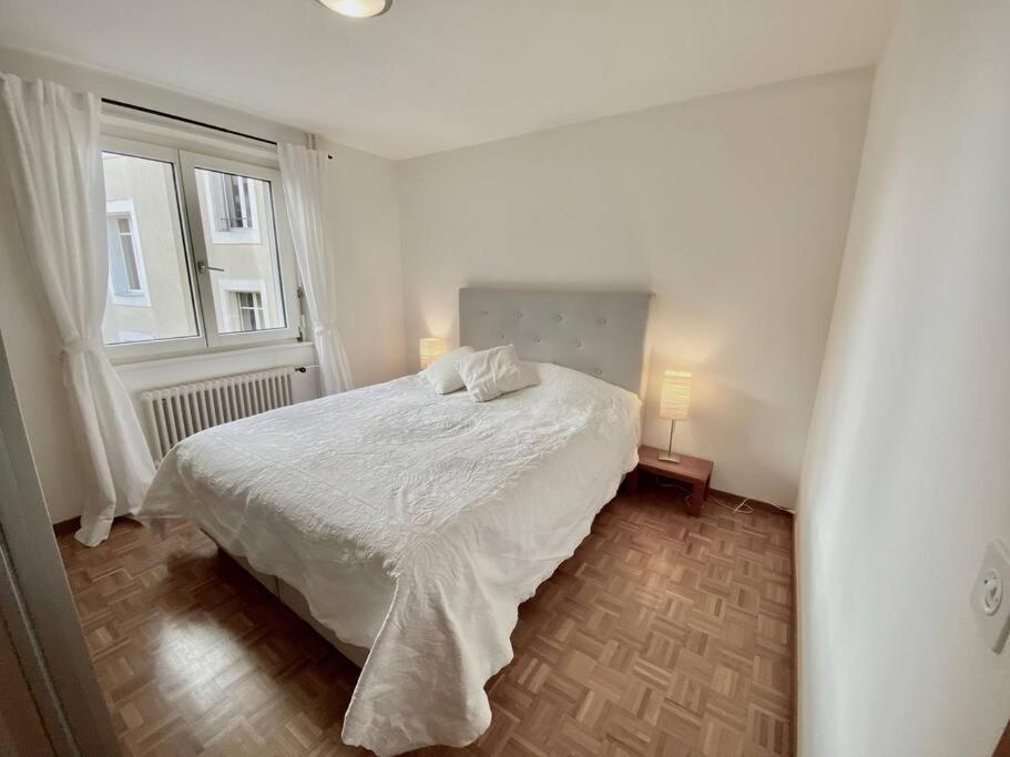 Comfortable, Very Well Located Between Train Station And Lake! Лозана Exteriér fotografie